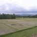 2005_indonesiatrip_011_2